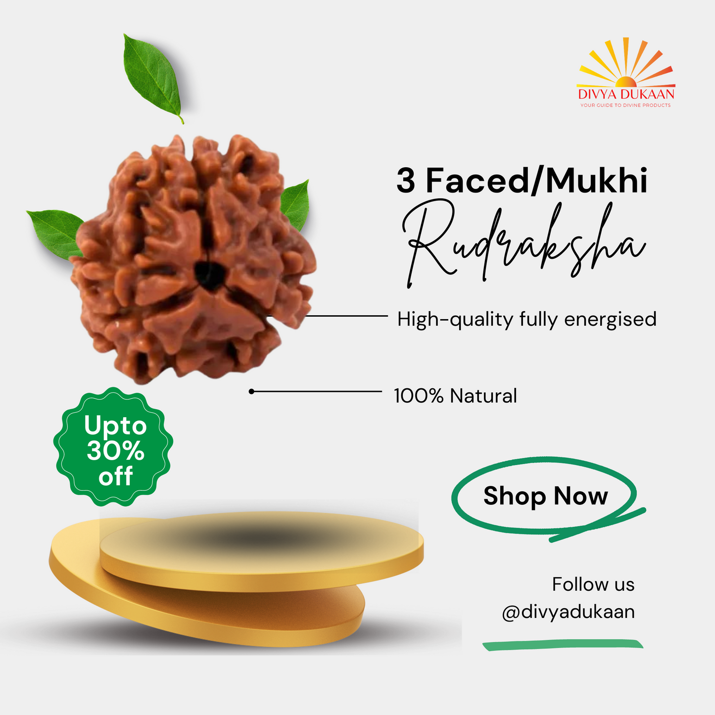 3 Faced/Mukhi Rudraksha