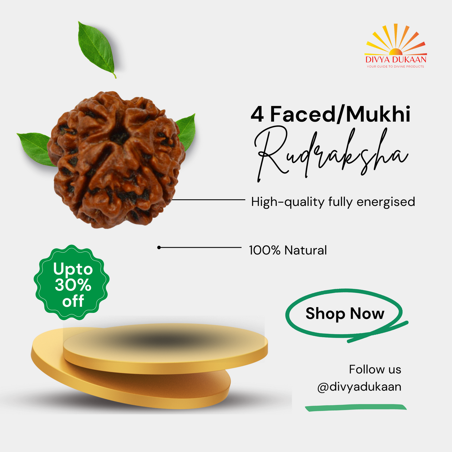 4 Faced/Mukhi Rudraksha