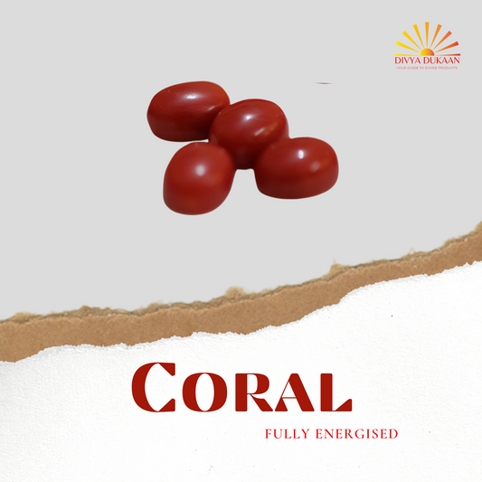 Red Coral/Moonga - Divya Dukaan - Shop by Astro River